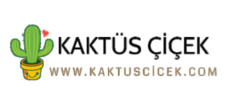 kaktüs Çicekcilik